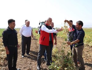 Muş Valisi Avni Çakır, Yoncalıöz Köyü’nde Kuru Fasulye Hasadına Katıldı