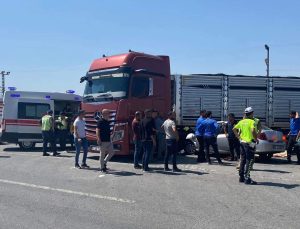 Muş-Bingöl Karayolunda Trafik Kazası: 1 Ölü, 4 Yaralı