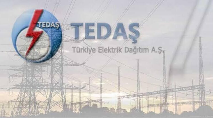 “TEDAŞ, Van, Bitlis, Muş ve Hakkari’de Aydınlatma Denetimi Yapacak”