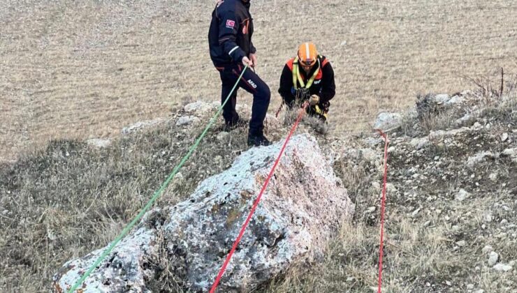 Çınarardı Köyünde Mahsur Kalan Kuzular AFAD Tarafından Kurtarıldı