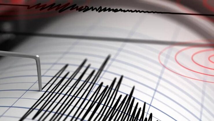 Elazığ Merkezli 5.0 Büyüklüğündeki Deprem Muş ve Çevre İllerde Hissedildi: Can ve Mal Kaybı Yok