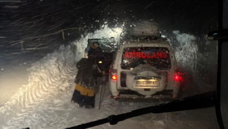 Kar Kaplanları Zorlu Şartlarda Hayat Kurtarıyor