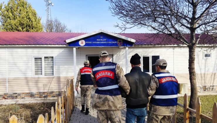 Muş’ta Yorgun Mermi Faciasının Sorumlusu Yakalandı ve Tutuklandı